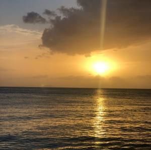 Meet your Posher, Susanne